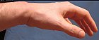 Filename=male_palm_relaxed_photo_left.JPG
Filesize=213KiB
Dimensions=2112x860
Date added=Mar 03, 2009 male_palm_relaxed_photo_left.JPG
