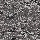Filename=cloth_texture_094.jpg
Filesize=1132KiB
Dimensions=1148x1150
Date added=Feb 20, 2009 cloth_texture_094.jpg