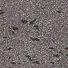 Filename=cloth_texture_095.jpg
Filesize=1194KiB
Dimensions=1400x1320
Date added=Feb 20, 2009 cloth_texture_095.jpg