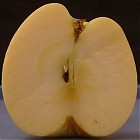 apple_golden_slice.jpg