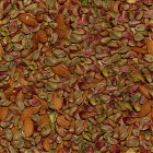 pistachios_texture_tileable.jpg