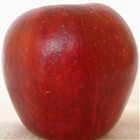 red_apple_side.jpg