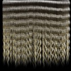 curly_human_hair_texture.jpg