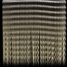 human_hair_texture.jpg