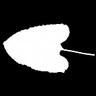 Filename=leaf_mask_00032.jpg
Filesize=23KiB
Dimensions=640x640
Date added=Sep 14, 2006 leaf_mask_00032.jpg