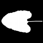 Filename=leaf_mask_00033.jpg
Filesize=23KiB
Dimensions=640x640
Date added=Sep 14, 2006 leaf_mask_00033.jpg