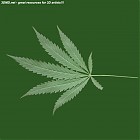 hemp_leaf_texture.jpg