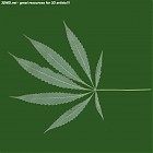 Filename=leaf_00294.jpg
Filesize=50KiB
Dimensions=640x640
Date added=Sep 14, 2006 leaf_00294.jpg