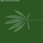 Filename=leaf_00295.jpg
Filesize=44KiB
Dimensions=640x640
Date added=Sep 14, 2006 leaf_00295.jpg