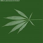 Filename=leaf_00297.jpg
Filesize=48KiB
Dimensions=640x640
Date added=Sep 14, 2006 leaf_00297.jpg