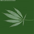 Filename=leaf_00298.jpg
Filesize=50KiB
Dimensions=640x640
Date added=Sep 14, 2006 leaf_00298.jpg