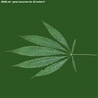 Filename=leaf_00299.jpg
Filesize=53KiB
Dimensions=640x640
Date added=Sep 14, 2006 leaf_00299.jpg