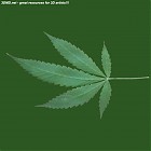 Filename=leaf_00306.jpg
Filesize=44KiB
Dimensions=640x640
Date added=Sep 14, 2006 leaf_00306.jpg