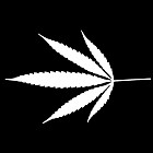 Filename=leaf_mask_00109.jpg
Filesize=36KiB
Dimensions=640x640
Date added=Sep 14, 2006 leaf_mask_00109.jpg