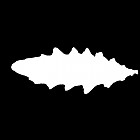Filename=leaf_mask_00252.jpg
Filesize=23KiB
Dimensions=640x640
Date added=Sep 14, 2006 leaf_mask_00252.jpg