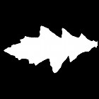 Filename=leaf_mask_00445.jpg
Filesize=24KiB
Dimensions=640x640
Date added=Sep 14, 2006 leaf_mask_00445.jpg
