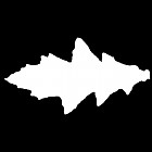 Filename=leaf_mask_00446.jpg
Filesize=24KiB
Dimensions=640x640
Date added=Sep 14, 2006 leaf_mask_00446.jpg