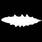 Filename=leaf_mask_00448.jpg
Filesize=23KiB
Dimensions=640x640
Date added=Sep 14, 2006 leaf_mask_00448.jpg