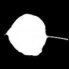 Filename=leaf_mask_00219.jpg
Filesize=23KiB
Dimensions=640x640
Date added=Sep 14, 2006 leaf_mask_00219.jpg