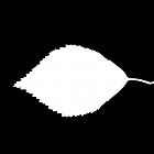 Filename=leaf_mask_texture_00000.jpg
Filesize=22KiB
Dimensions=640x640
Date added=Sep 14, 2006 leaf_mask_texture_00000.jpg