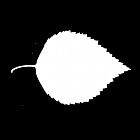 Filename=leaf_mask_texture_00002.jpg
Filesize=23KiB
Dimensions=640x640
Date added=Sep 14, 2006 leaf_mask_texture_00002.jpg