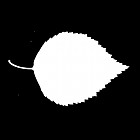 Filename=leaf_mask_texture_00003.jpg
Filesize=23KiB
Dimensions=640x640
Date added=Sep 14, 2006 leaf_mask_texture_00003.jpg