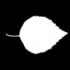 Filename=leaf_mask_texture_00004.jpg
Filesize=23KiB
Dimensions=640x640
Date added=Sep 14, 2006 leaf_mask_texture_00004.jpg
