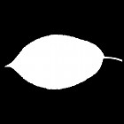 Filename=leaf_mask_00066.jpg
Filesize=22KiB
Dimensions=640x640
Date added=Sep 14, 2006 leaf_mask_00066.jpg