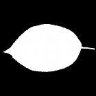 Filename=leaf_mask_00067.jpg
Filesize=22KiB
Dimensions=640x640
Date added=Sep 14, 2006 leaf_mask_00067.jpg