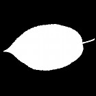 Filename=leaf_mask_00070.jpg
Filesize=22KiB
Dimensions=640x640
Date added=Sep 14, 2006 leaf_mask_00070.jpg
