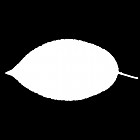 Filename=leaf_mask_00090.jpg
Filesize=22KiB
Dimensions=640x640
Date added=Sep 14, 2006 leaf_mask_00090.jpg