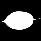 Filename=leaf_mask_00347.jpg
Filesize=22KiB
Dimensions=640x640
Date added=Sep 14, 2006 leaf_mask_00347.jpg