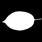 Filename=leaf_mask_00348.jpg
Filesize=22KiB
Dimensions=640x640
Date added=Sep 14, 2006 leaf_mask_00348.jpg
