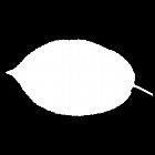 Filename=leaf_mask_00486.jpg
Filesize=22KiB
Dimensions=640x640
Date added=Sep 14, 2006 leaf_mask_00486.jpg