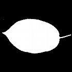 Filename=leaf_mask_00487.jpg
Filesize=22KiB
Dimensions=640x640
Date added=Sep 14, 2006 leaf_mask_00487.jpg