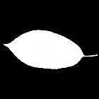 Filename=leaf_mask_00488.jpg
Filesize=21KiB
Dimensions=640x640
Date added=Sep 14, 2006 leaf_mask_00488.jpg