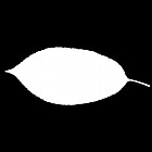 Filename=leaf_mask_00489.jpg
Filesize=21KiB
Dimensions=640x640
Date added=Sep 14, 2006 leaf_mask_00489.jpg