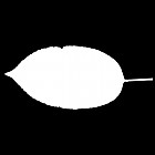 Filename=leaf_mask_00490.jpg
Filesize=21KiB
Dimensions=640x640
Date added=Sep 14, 2006 leaf_mask_00490.jpg