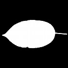 Filename=leaf_mask_00491.jpg
Filesize=21KiB
Dimensions=640x640
Date added=Sep 14, 2006 leaf_mask_00491.jpg