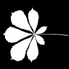 Filename=leaf_mask_00149.jpg
Filesize=40KiB
Dimensions=640x640
Date added=Sep 14, 2006 leaf_mask_00149.jpg