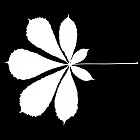Filename=leaf_mask_00151.jpg
Filesize=38KiB
Dimensions=640x640
Date added=Sep 14, 2006 leaf_mask_00151.jpg