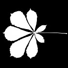 Filename=leaf_mask_00154.jpg
Filesize=39KiB
Dimensions=640x640
Date added=Sep 14, 2006 leaf_mask_00154.jpg