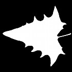 Filename=leaf_mask_00102.jpg
Filesize=28KiB
Dimensions=640x640
Date added=Sep 14, 2006 leaf_mask_00102.jpg
