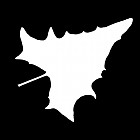 Filename=leaf_mask_00241.jpg
Filesize=27KiB
Dimensions=640x640
Date added=Sep 14, 2006 leaf_mask_00241.jpg