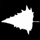 Filename=leaf_mask_00273.jpg
Filesize=25KiB
Dimensions=640x640
Date added=Sep 14, 2006 leaf_mask_00273.jpg