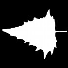 Filename=leaf_mask_00274.jpg
Filesize=24KiB
Dimensions=640x640
Date added=Sep 14, 2006 leaf_mask_00274.jpg