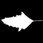 Filename=leaf_mask_00505.jpg
Filesize=22KiB
Dimensions=640x640
Date added=Sep 14, 2006 leaf_mask_00505.jpg