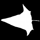 Filename=leaf_mask_00510.jpg
Filesize=24KiB
Dimensions=640x640
Date added=Sep 14, 2006 leaf_mask_00510.jpg