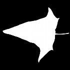 Filename=leaf_mask_00511.jpg
Filesize=24KiB
Dimensions=640x640
Date added=Sep 14, 2006 leaf_mask_00511.jpg