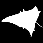 Filename=leaf_mask_00520.jpg
Filesize=25KiB
Dimensions=640x640
Date added=Sep 14, 2006 leaf_mask_00520.jpg